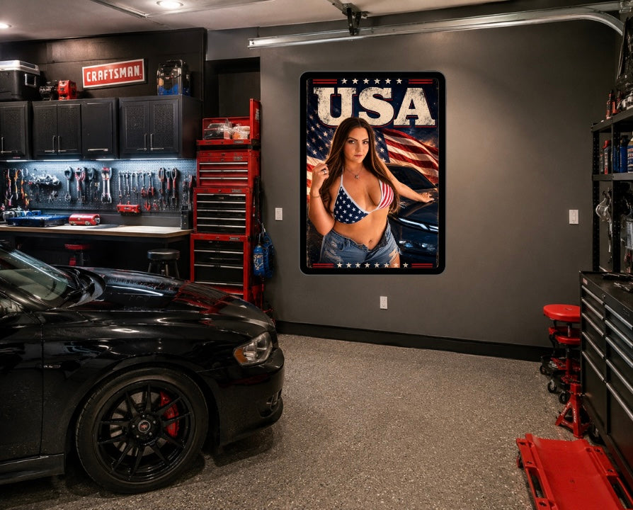 USA Poster 2
